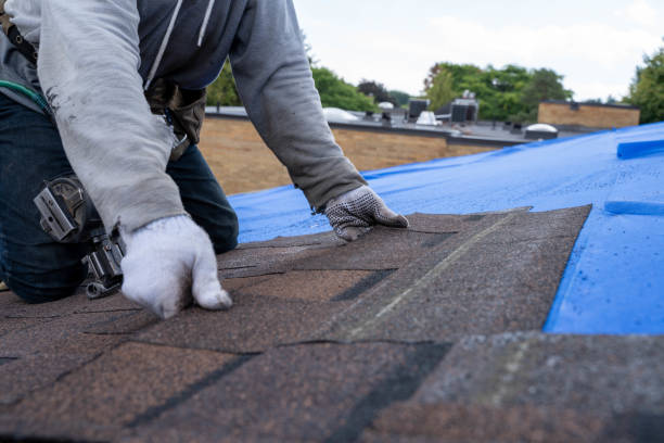 Best Roof Maintenance Services  in Altoona, WI